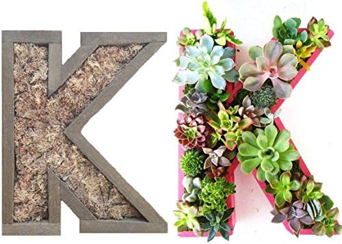 DIY 10 inch Unfinished Succulent Monogrammed Initials Succulent Planter Succulent Letter Box