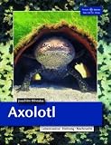 Axolotl