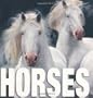 Horses (MiniCube) (CubeBook)