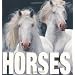 Horses (MiniCube) (CubeBook)