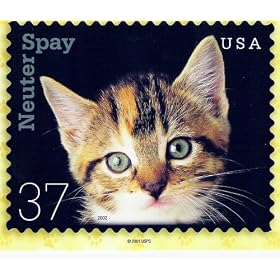 POSTCARD - NEUTER SPAY CATS