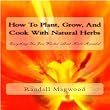 Plant And Cook With Natural Herbs - Chapter 2