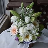 ���i�̏ڍ�