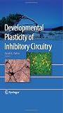 Developmental Plasticity of Inhibitory Circuitry