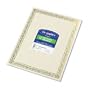 Geographics Blank Serpentine Certificate