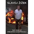 Year Of Dreaming Dangerously, The