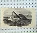 1855 Ship Wreck Charlotte Cape Coast Sea Storm Print