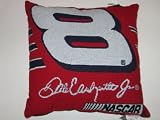 DALE EARNHARDT JR #8 Soft Knit Team Logo Throw Pillow 18" x 18" x 6"