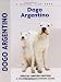 Dogo Argentino: A Comprehensive Owner's Guide