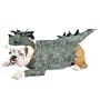 Jurassic Bark Pet (Pet Large)