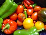 New Vegetarian Dishes