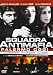Squadra antimafia - Palermo oggi Stagione 01