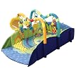 Bright Starts Baby's Playplace
