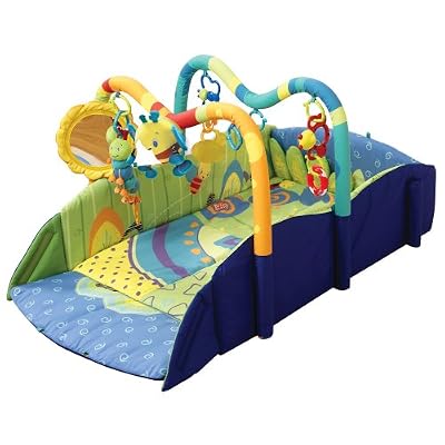 Bright Starts Baby's Playplace