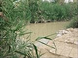 Photo Jigsaw 17x12 (43x30cm) Location on the Jordan River where Jesus was baptised from Robert Harding
