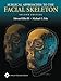 Surgical Approaches to the Facial Skeleton