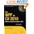 Pro WPF in C# 2010: Windows Presentation Foundation in .NET 4