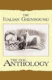 The Italian Greyhound - A Dog Anthology (A Vintage Dog Books Breed Classic)