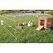 Galvanised Rabbit/ Guinea Pig Cage Run Enclosure 144cm