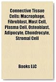 Connective Tissue Cells: Macrophage, Fibroblast, Mast Cell, Plasma Cell, Osteoblast, Adipocyte, Chondrocyte, Stromal Cell