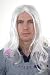 FDC Legolas Gandalf Dumbledore Wizard Style Wig Fancy Dress
