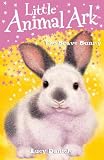 The Brave Bunny (Little Animal Ark)