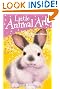 The Brave Bunny