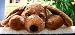 Henry Hound Puppy Dog Plush Stuffed Animal