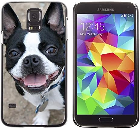 LASTONE PHONE CASE / Slim Protector Hard Shell Cover Case for Samsung Galaxy S5 SM-G900 / Boston Terrier Bull French Bulldog Canine