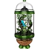 BioBubble Chameleon Cantina, Green