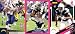 2009 Chargers Breast Cancer 3 card set (Antonio Gates, Philip Rivers & LaDainian Tomlinson)