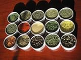 Everyday Spice Kit