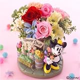 �y����J�Ԓd�z�f�B�Y�j�[�v���U�[�u�h���A�[�g�t�����[�u�~�j�[�t�����[�V���b�v�v