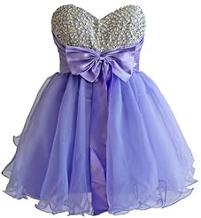 Organza Short Homecoming Dress/Quinceanera Dress/Mini Dress 