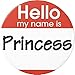 Hello my name is Princess 2.25â€ Large Pinback Button Pin