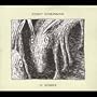 Jenny Scheinman - 12 Songs