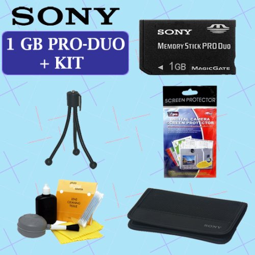 Memory Stick Pro Duo 1GB and Acc Outfit - AMSXM1GSK1
