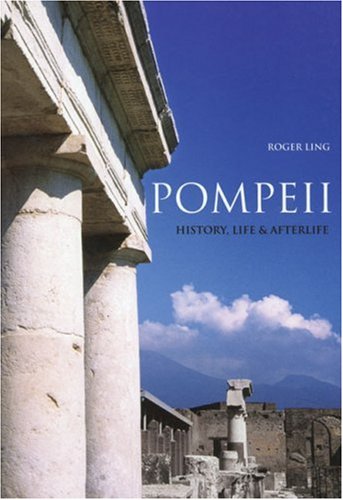 Pompeii: History, Life & Afterlife under Excavation Reports in The Books Store
