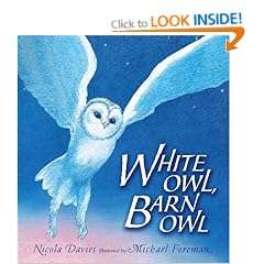 White Owl, Barn Owl