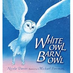 White Owl, Barn Owl
