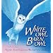 White Owl, Barn Owl