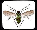 Mouse Pad with aphid, insect, pest, plant louse, arthropod, bug, invertebrate, animal, kalbladslus