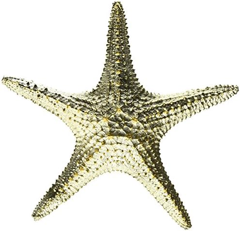Starfish Star Fish Shell Gold Sculpture Tropical Decoration Table Top D15317FBA