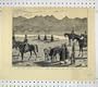 Afghan Campaign Deportation Sirdars India Prayer Horse