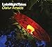 Late Night Tales: Olafur Arnalds