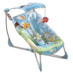 Fisher-Price Soothe and Go Bouncy Seat