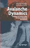 Avalanche Dynamics