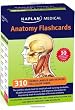 Anatomy Flashcards