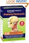 Anatomy Flashcards