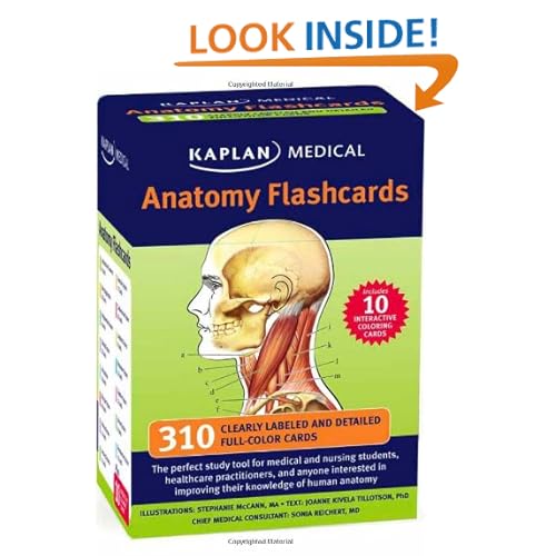 Anatomy Flashcards